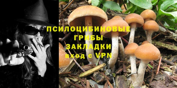 Альфа ПВП Алексин