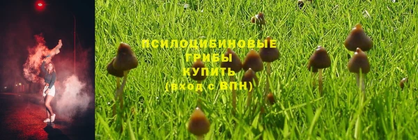 мет Алзамай