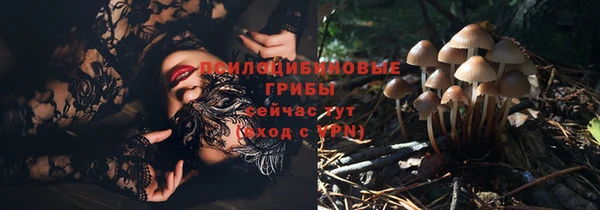 ECSTASY Алексеевка