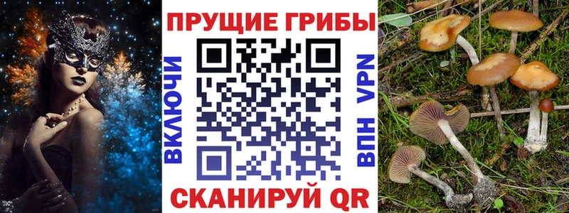 купить наркотики сайты  Апшеронск  Псилоцибиновые грибы ЛСД 